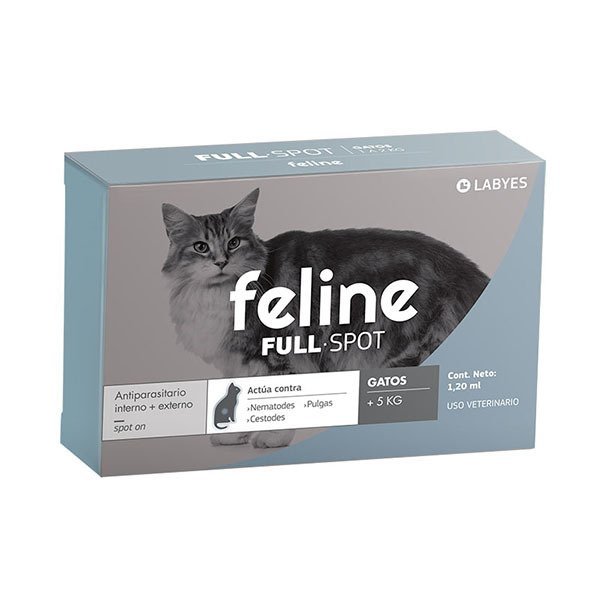 Feline +5kg