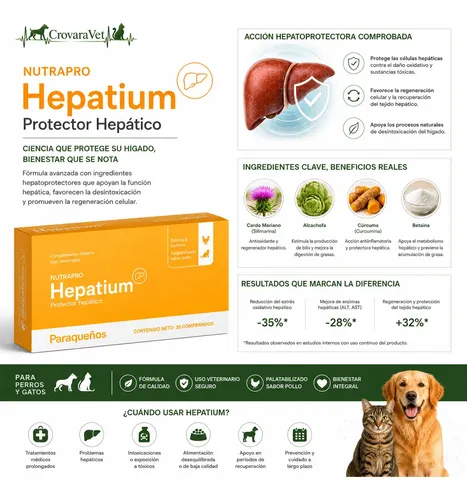 Nutrapro Hepatium Suplemento Protector Hepático Perros Gato - Image 2