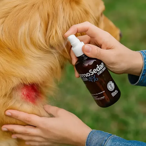 Dermosedan Clorhexidina Solución Spray Caninos Felinos 200ml - Image 3