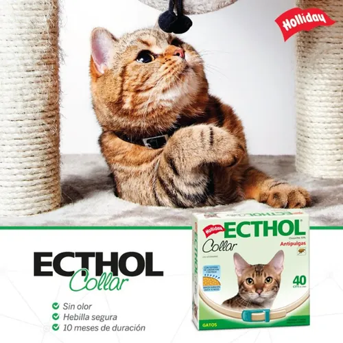 Collar Ecthol Antipulgas Garrapatas Para Gatos Hollidays Agua - Image 4