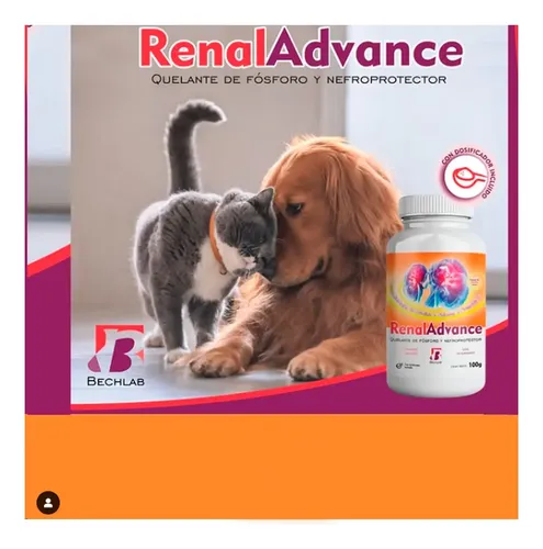 Pack X 2 Renal Advance 100gr Polvo - Bechlab - Image 4
