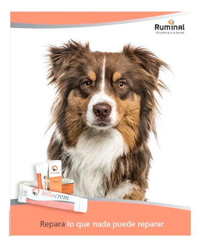 Milacrem Crema Cicatrizante Heridas Para Perros Y Gatos 30gr - Image 2