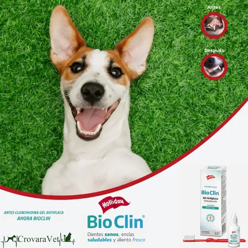 Gel Antiplaca Para Perros Gatos Holliday 20ml Con Cepillo Sin Sabor - Image 3