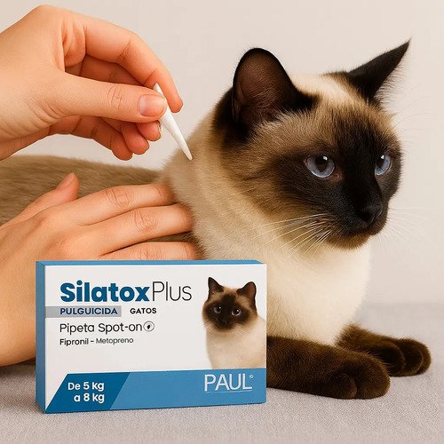 Pipeta Silatox Plus Gatos Felino 5 A 8kg Pulgas Garrapatas Azul - Image 2