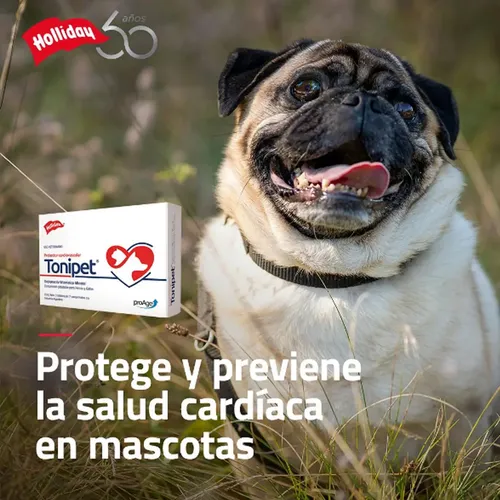Tonipet Suplemento Cardíaco Perros Gatos Holliday X21 Comp - Image 4