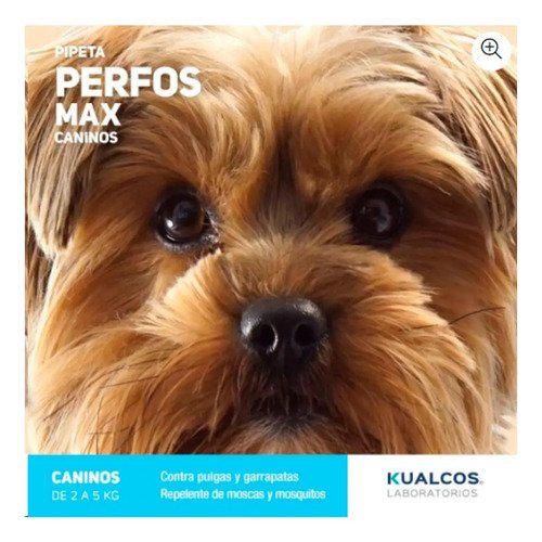 Pipeta Perfos Perros 2 A 5 Kg Pulgas Garrapatas Mosquitos Celeste - Image 7