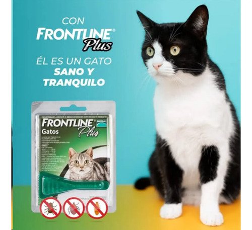 Pipeta Gatos Frontline Plus X3 Elimina Pulgas Y Garrapatas Agua - Image 3