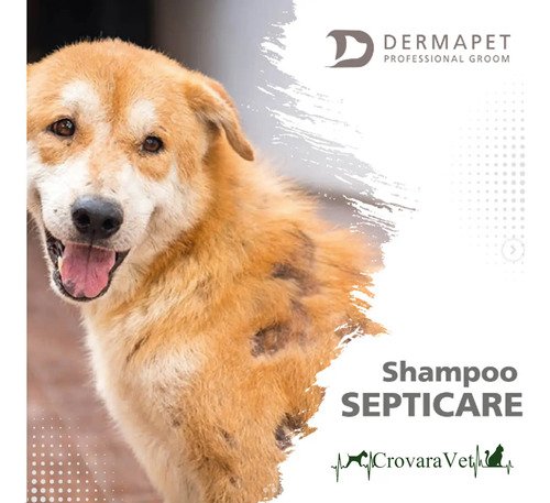 Shampoo Dermapet Septicare Hipoalergenico 250ml Perros Gatos Coco - Image 3