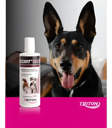 Shampoo Pirecort Triton Antipulgas Garrapatas Perros Y Gatos Neutro - Image 2
