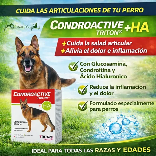 Condroactive Suplemento Articular Perros X32 Comprimidos - Image 5