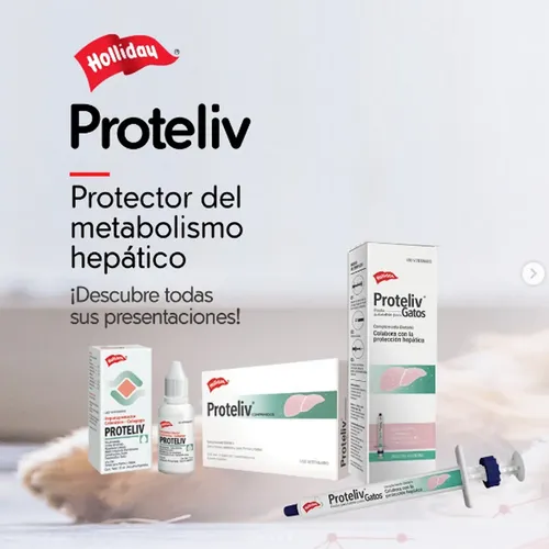 Proteliv Gotas 15ml Hepatoprotector- Holliday - Image 6