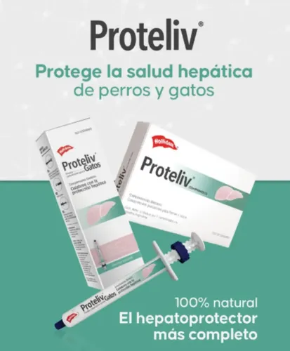 Proteliv Gotas 15ml Hepatoprotector- Holliday - Image 3
