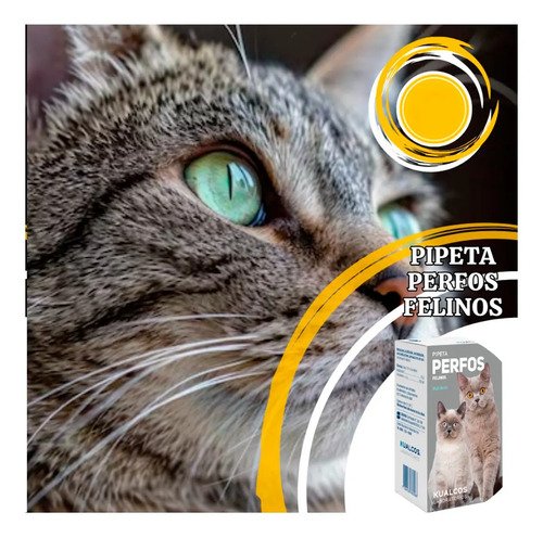 Pipeta Multidosis Perfos Gatos Pulguicida Kualcos Gris - Image 5