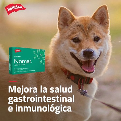 Nomat Perro X20 Comp Mal Aliento Olor Corporal Gases Verde Claro - Image 3