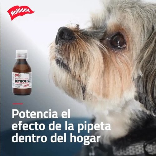 Ecthol 5 X 120ml X3 Pulguicida Garrapaticida Ambiental Perro - Image 3