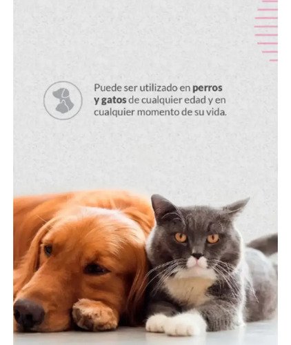 Nutrapro Dermium X 30 Comp Regenerador Pelo Piel Perro Gato - Image 6