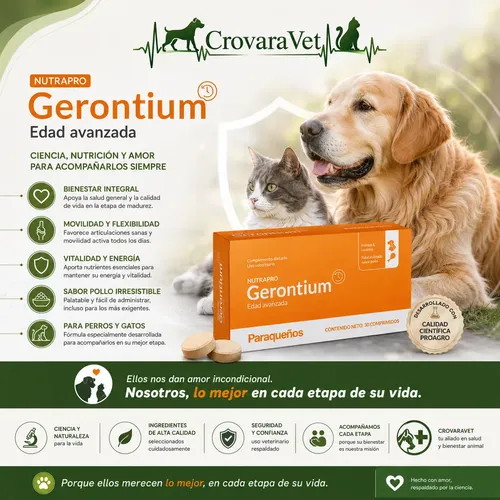 Nutrapro Gerontium Vitaminas Minerales Perros Gatos Senior - Image 5
