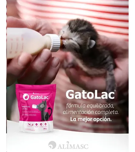 Gatolac 350 Gr - Sustituto Lacteo Suplemento Felinos Gatos - Image 2