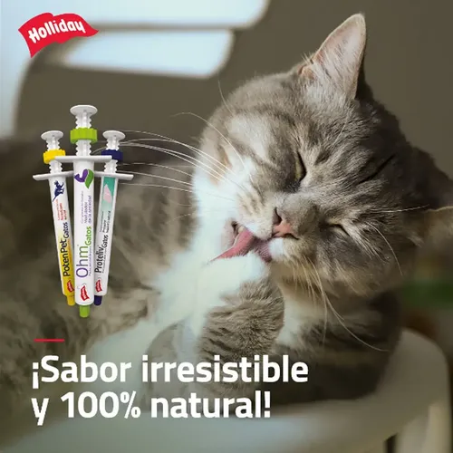 Proteliv Jeringa Complemento Hepatico Gatos 7g - Holliday - Image 5