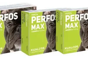 Pipeta Para Perro Antipulgas Perfos 5 A 10kg Combo X3u Verde