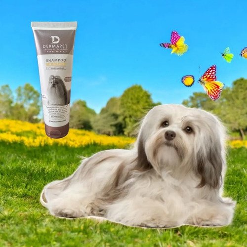Shampoo Para Perros Dermapet Groom Pelo Largo (con Ceramidas) X 250 Ml Purple Gem - Image 3