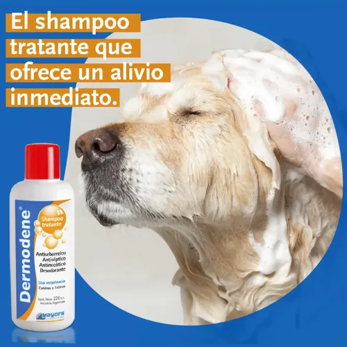 Shampoo Perros Gatos Dermodene Hipoalergenico Antiseborreico Coco - Image 4