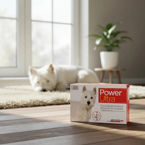 Pipeta Power Ultra Perro 5 A 10 Kg Pulgas Garrapatas Moscas Agua - Image 4
