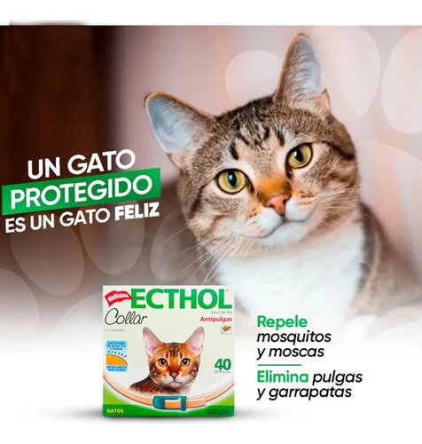 Collar Ecthol Antipulgas Garrapatas Para Gatos Hollidays Agua - Image 3