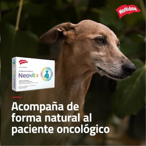 Neovita 21 Comprimidos Vitaminas Perros Gatos Senior Sin Gluten Holliday - Image 3