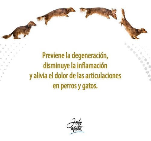 Flexapet Perros Y Gatos Condroprotector 30 Comprimidos Sabor - Image 6
