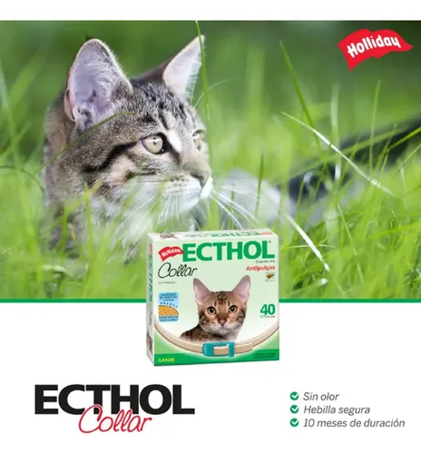 Collar Ecthol Antipulgas Garrapatas Para Gatos Hollidays Agua - Image 2
