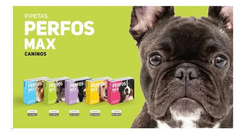 Pipeta Para Perro Antipulgas Perfos 5 A 10kg Combo X3u Verde - Image 3