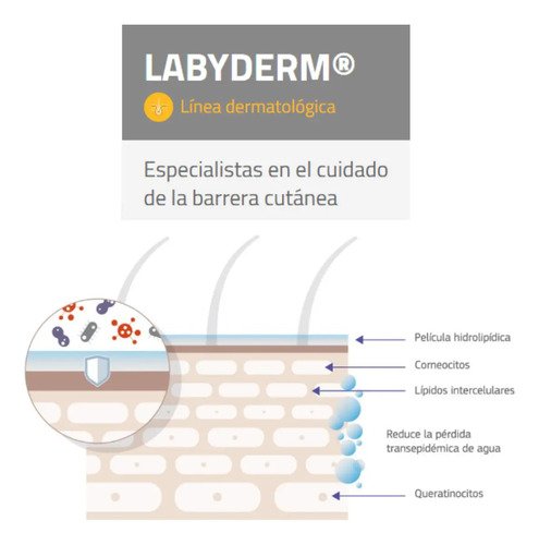 Pipeta Para Piel Perros Regenerador Labyderm Hasta 20kg - Image 5