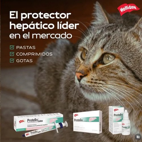 Proteliv Jeringa Complemento Hepatico Gatos 7g - Holliday - Image 6
