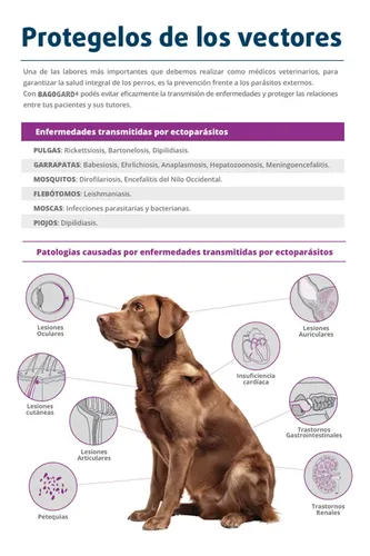 Pipeta Bagogard Perros 25 A 40 Kg Pulgas Garrapatas Bago Beige - Image 6