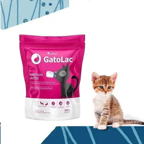 Gatolac 350 Gr - Sustituto Lacteo Suplemento Felinos Gatos - Image 5