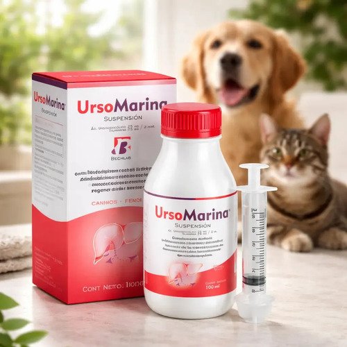 Ursomarina Bechlab Suspensión Hepatoprotectora Para Perros Y Gatos 100 Ml - Image 2