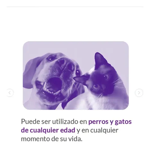 Nutrapro Relaxium X 30 Comp. Perro Gato - Proagro - Image 2