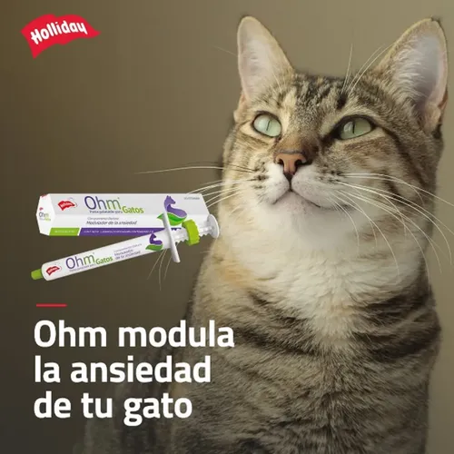 Ohm Pasta Palatable Jeringa 7gr Gatos Disminuye Ansiedad X 2 - Image 5