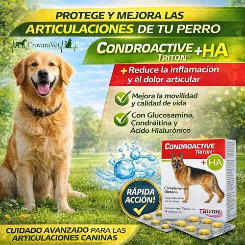 Condroactive Suplemento Articular Perros X32 Comprimidos - Image 3