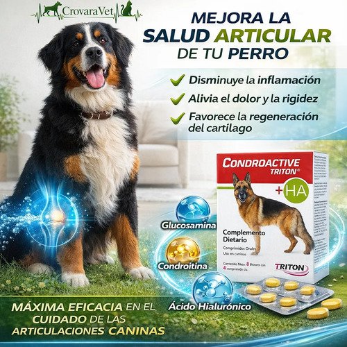 Condroactive Suplemento Articular Perros X32 Comprimidos - Image 4