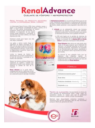 Pack X 2 Renal Advance 100gr Polvo - Bechlab - Image 3