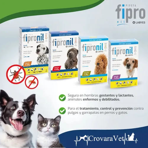 Pipeta Para Perros Pequeños Labyes Fipro 1 A 10 Kg Pack X2 Blanco - Image 3