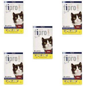 Pipeta Para Gatos Labyes Fipro Pulguicida Pack X5 Unidades Pipeta Fipro Gato X5 Unidades