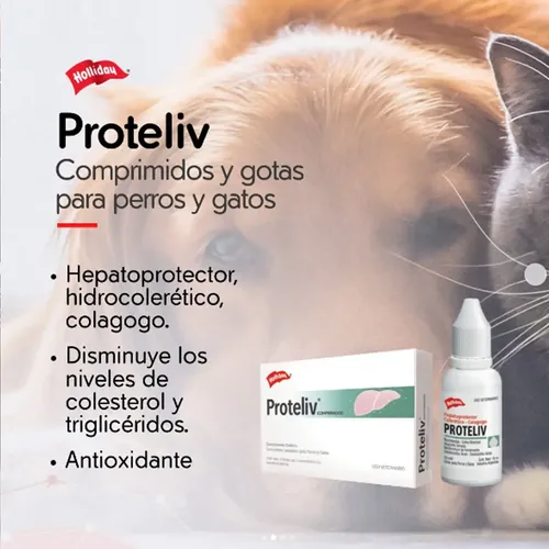 Proteliv Gotas 15ml Hepatoprotector Perros Gatos Holliday - Image 5
