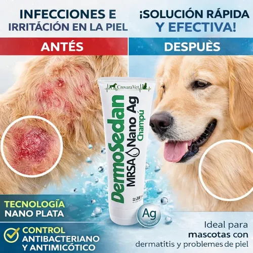 Shampoo Dermosedan Nano Ag Perro Gato Con Clorhexidina 200ml Coco - Image 5
