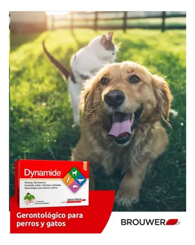 Dynamide Condroprotector Para Perros Y Gatos X30 Comprimidos - Image 3