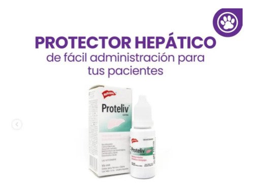 Proteliv Gotas 15ml Hepatoprotector- Holliday - Image 2