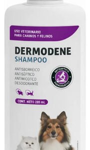 Shampoo Perros Gatos Dermodene Hipoalergenico Antiseborreico Coco