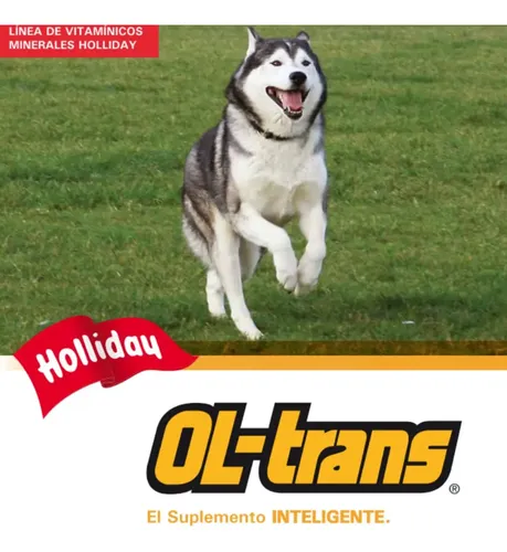 Holliday Ol Trans 80 G Perros Y Gatos Protector Articular - Image 7